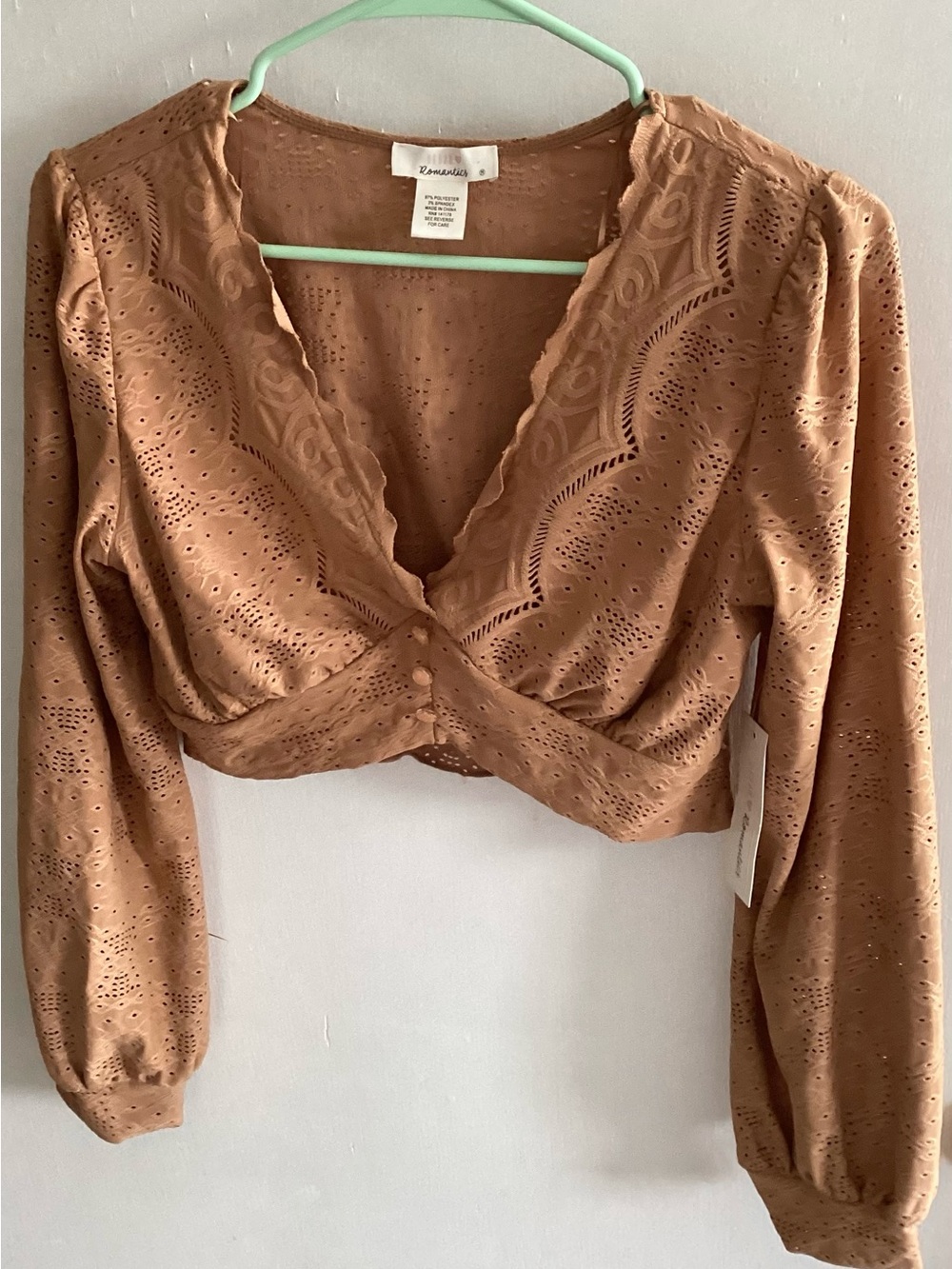 URBAN Romantics Brown Eyelet Cropped V-Neck Blouse